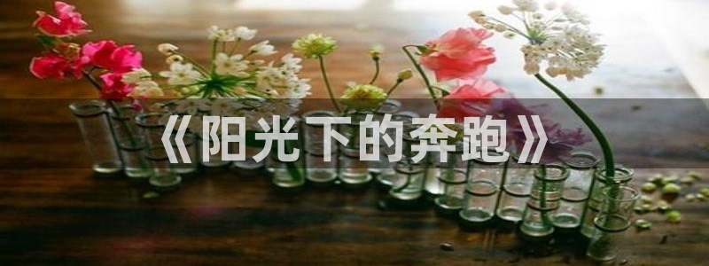 JJB竞技宝官网下载招商电话地址是多少:《阳光下的奔跑》