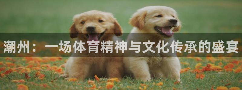 JJB竞技宝官方正版app开户:潮州:一场体育精神与文化传承