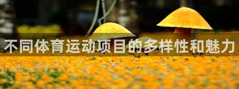 JJB竞技宝官网下载招商电话是多少啊:不同体育运动项目的多样