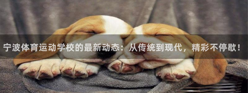 JJB竞技宝官方正版app集团简介:宁波体育运动学校的最新动